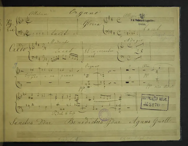 Organ (Fragment)