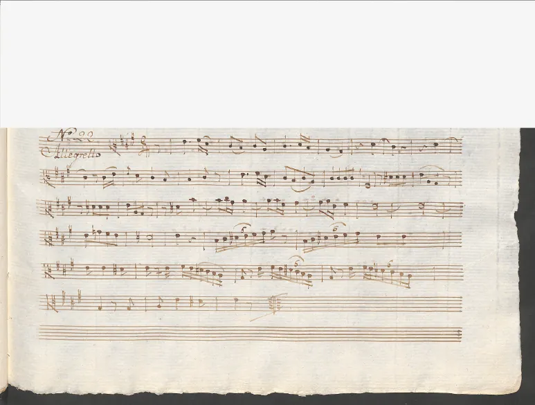 Viola