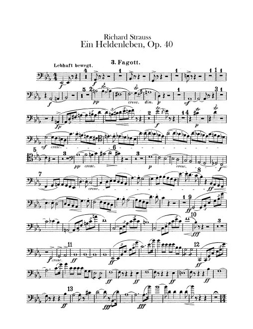 Bassoon 3