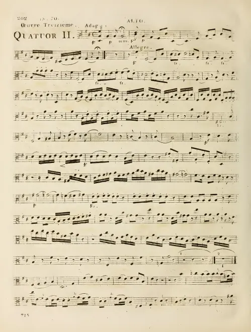 Viola