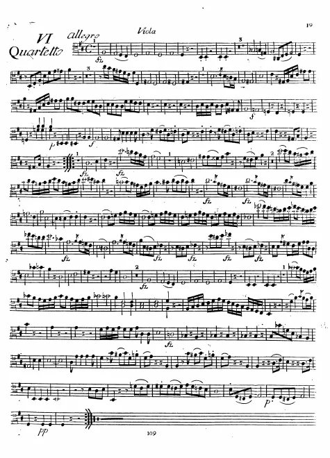 Viola