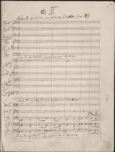 2. Andante cantabile con alcuna licenza