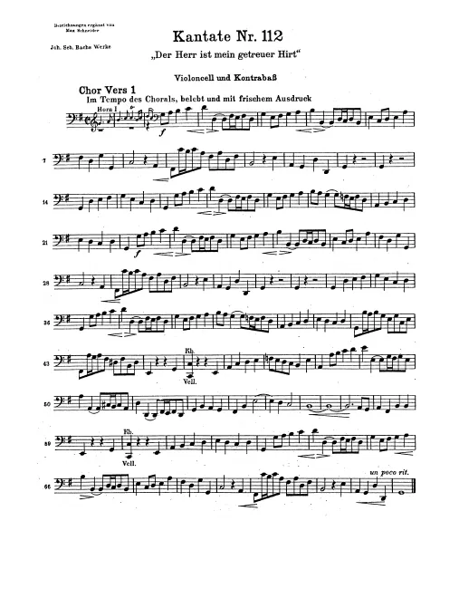 Cellos/Basses