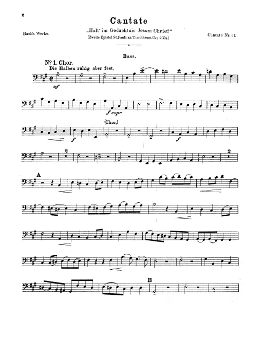 Basses