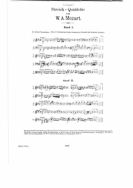 Viola 2