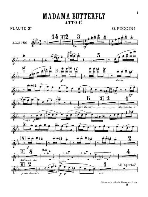 Flute 2