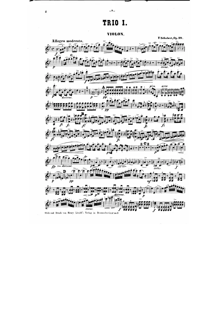 Violin