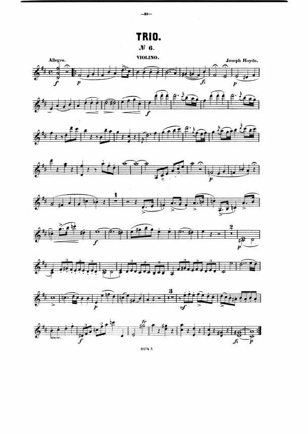 Violin