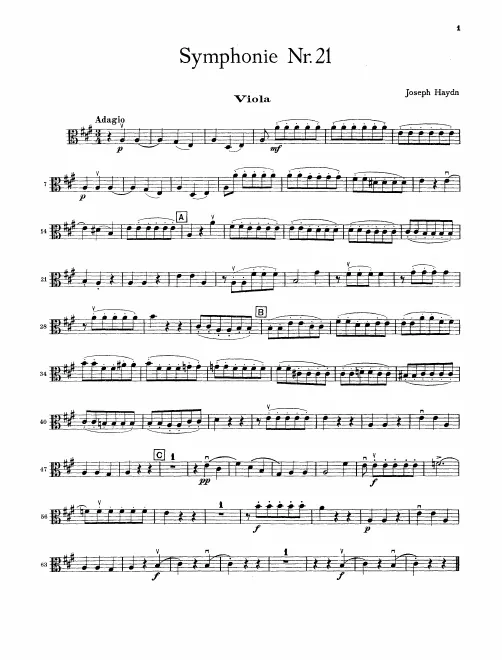 Violas