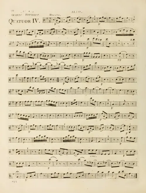 Viola
