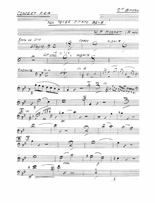 Bassoon 2