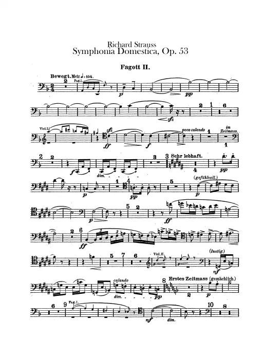 Bassoon 2