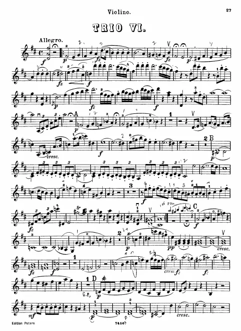 Violin