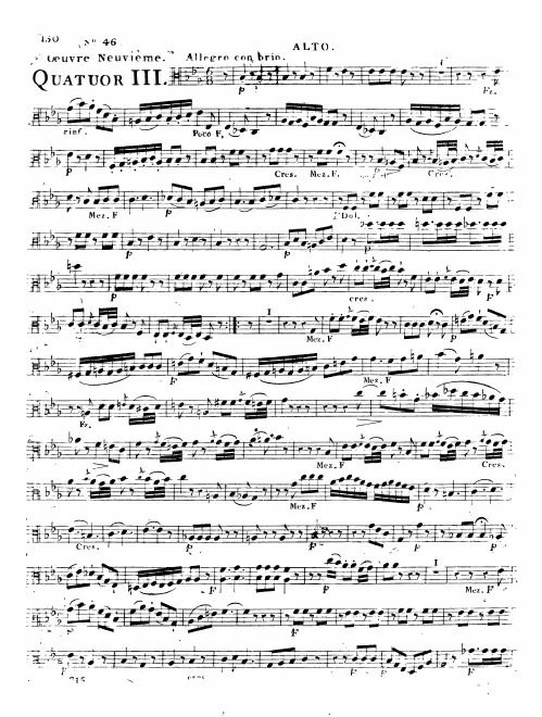 Viola