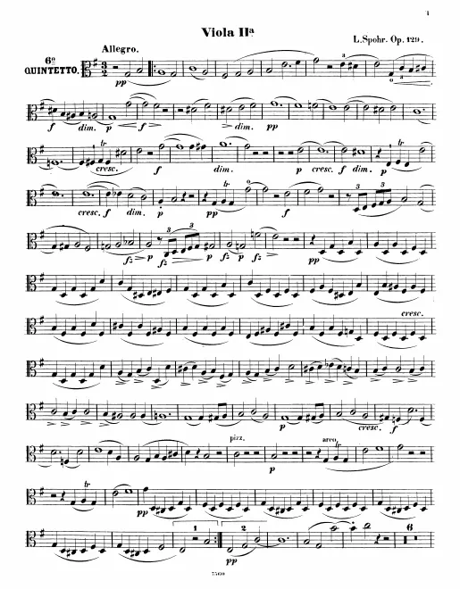 Viola 2