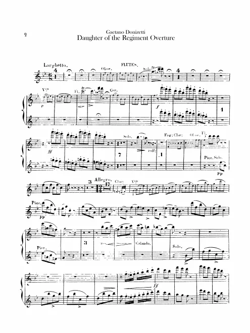 Flute 1/2