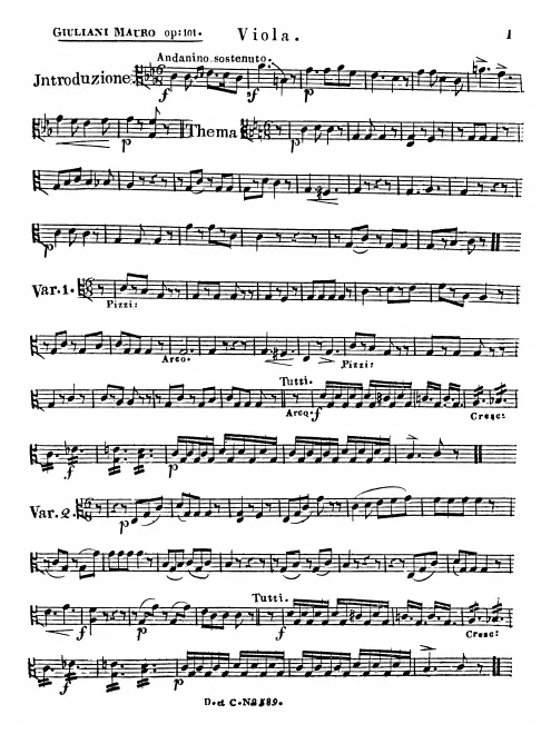 Viola