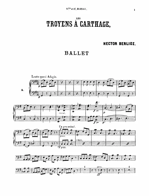 Cellos/Basses