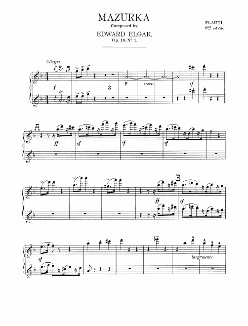Flute 1/2 (also Piccolo)