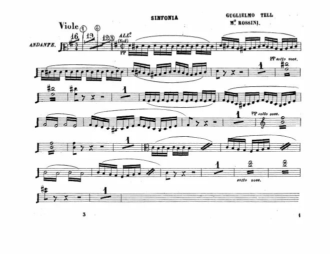 Violas