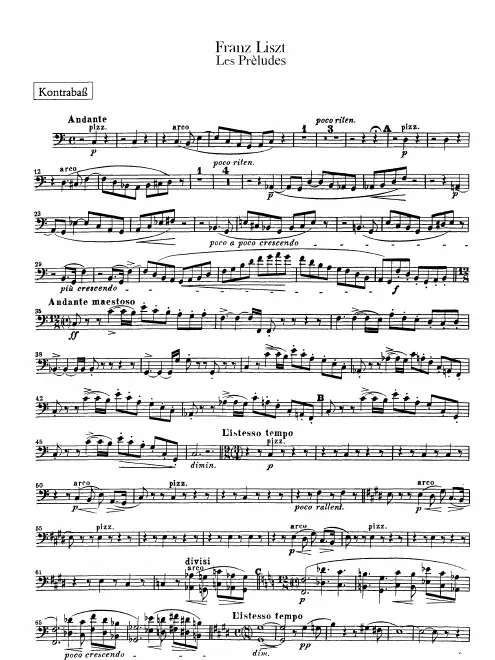 Basses