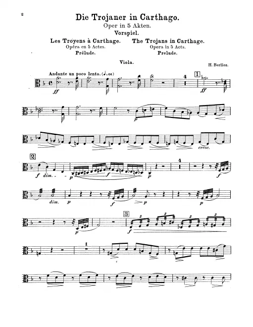 Violas
