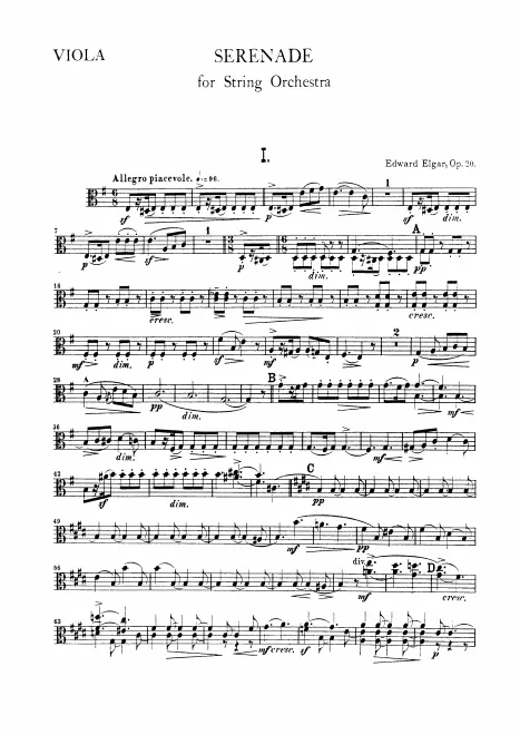 Violas