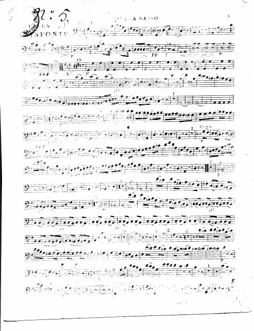 Basses