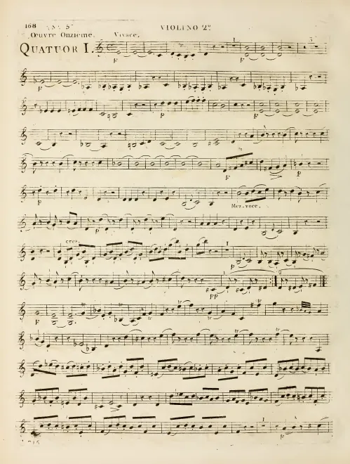 Violin 2