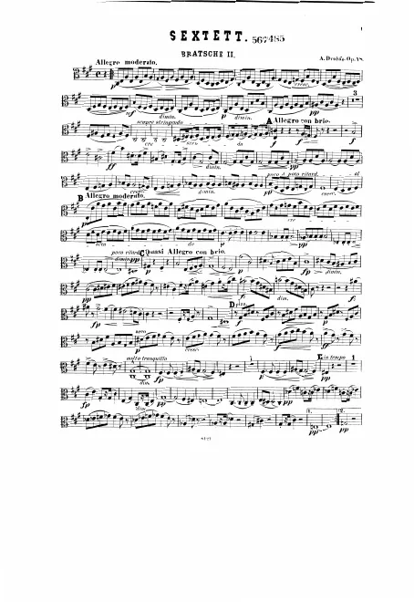 Viola 2
