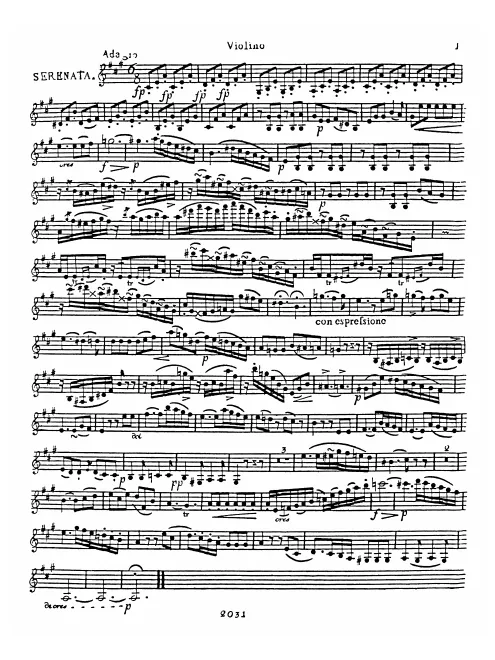 Violin