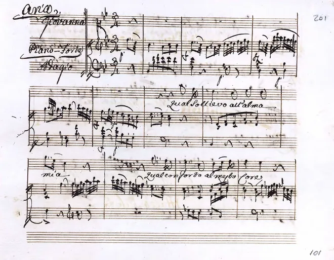 Segment 3