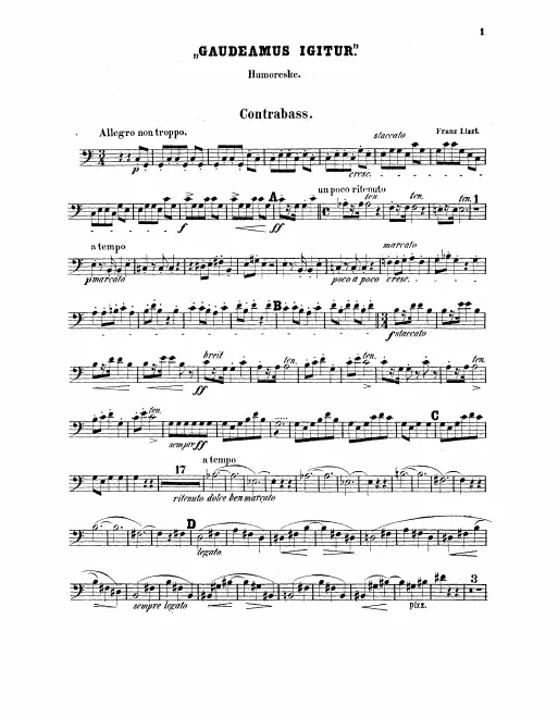 Basses