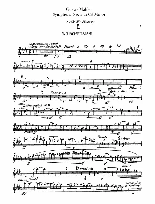 Flute 4/Piccolo 2