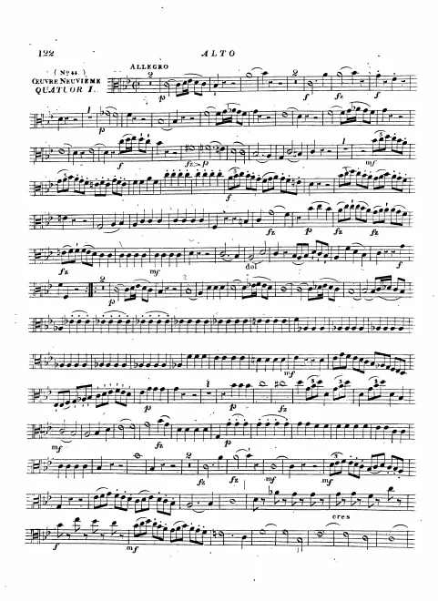 Viola