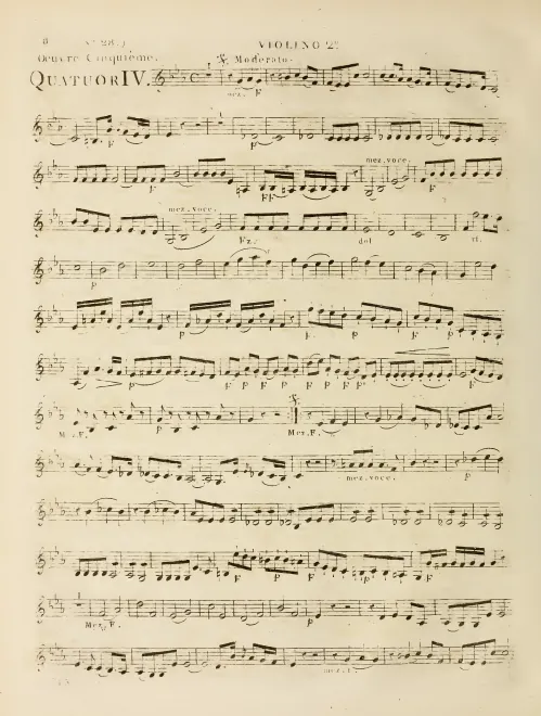 Violin 2