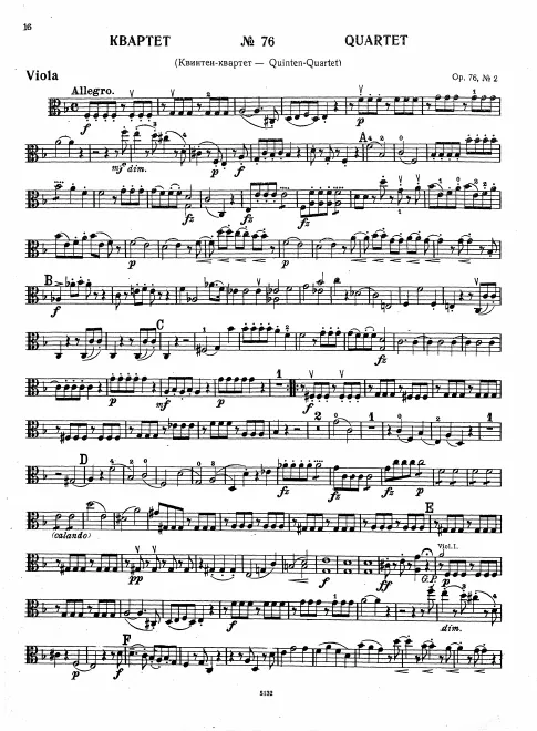 Viola