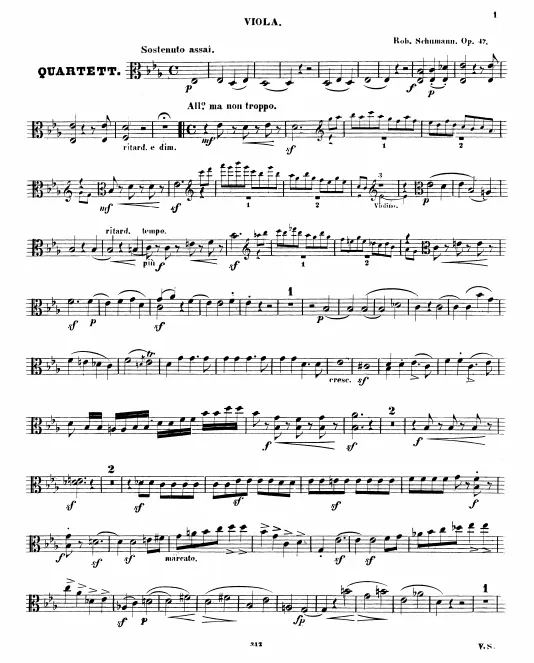 Viola