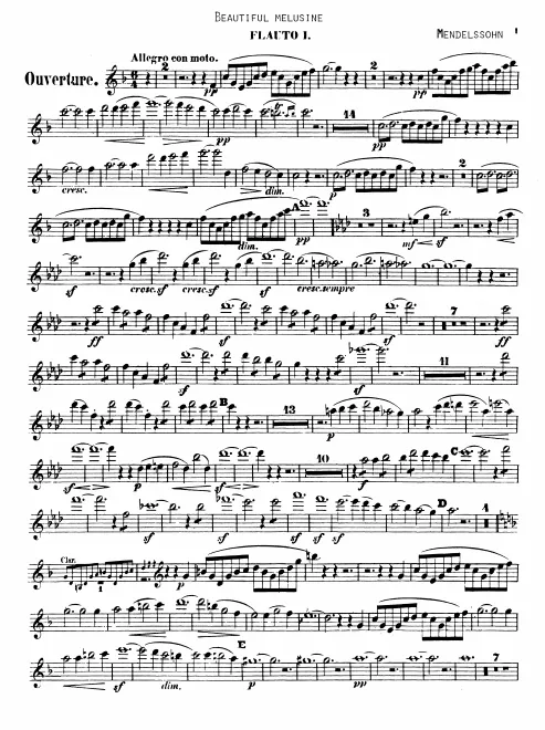Flute 1