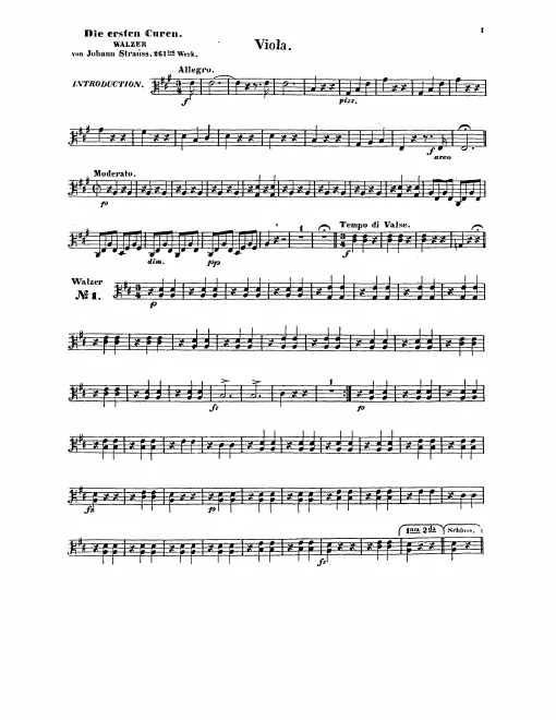 Violas