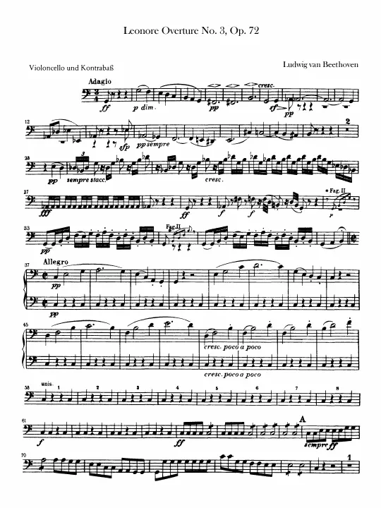 Cellos/Basses