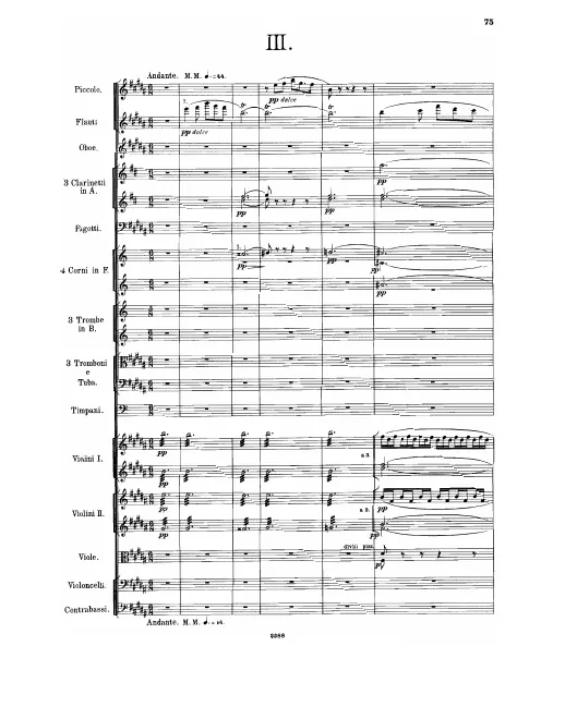 Segment 2 (III. Andante, IV. Tempestoso)