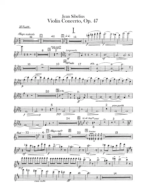 Flute 1