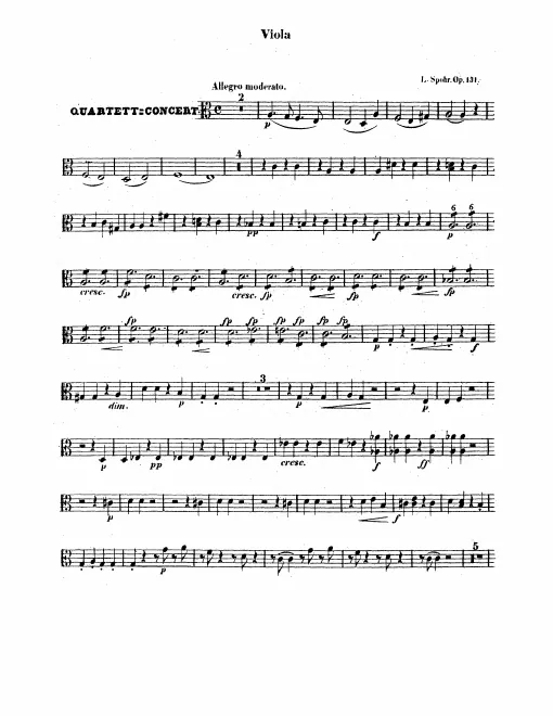 Violas