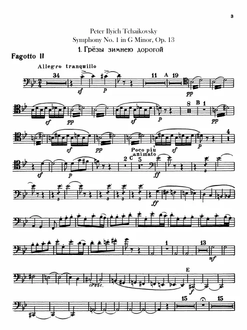Bassoon 2