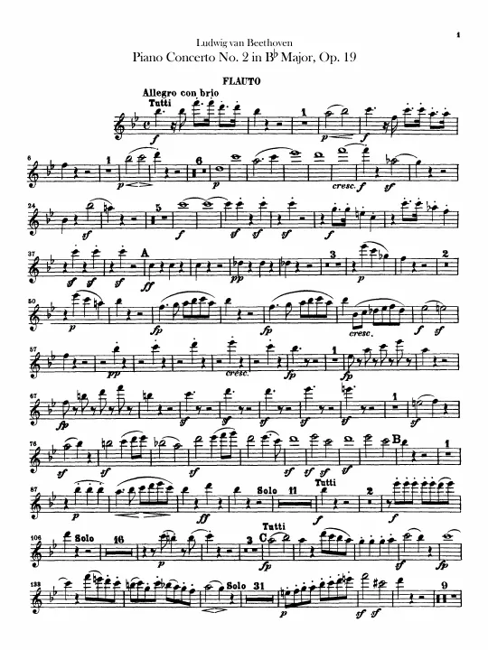 Flute