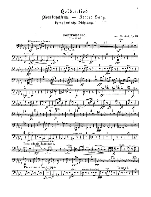 Basses