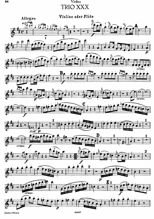 Violin