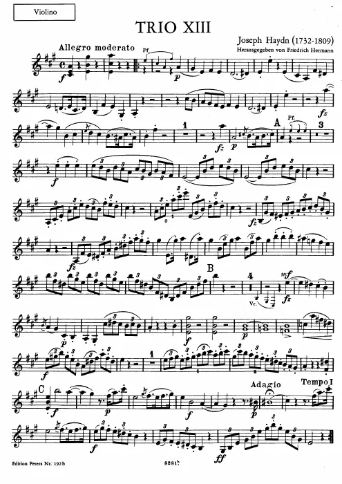 Violin
