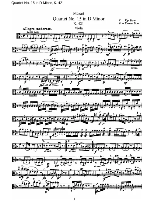 Viola